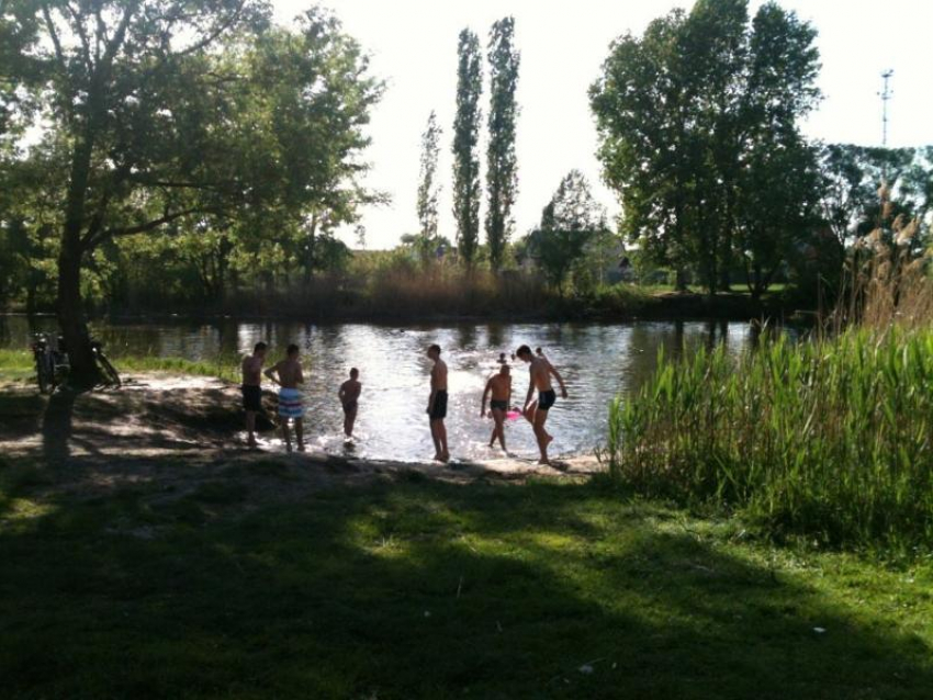 Топовый пляж хотят создать под Воронежем