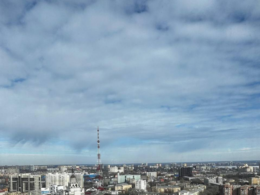 Райская погода в ближайшие дни ждет воронежцев 
