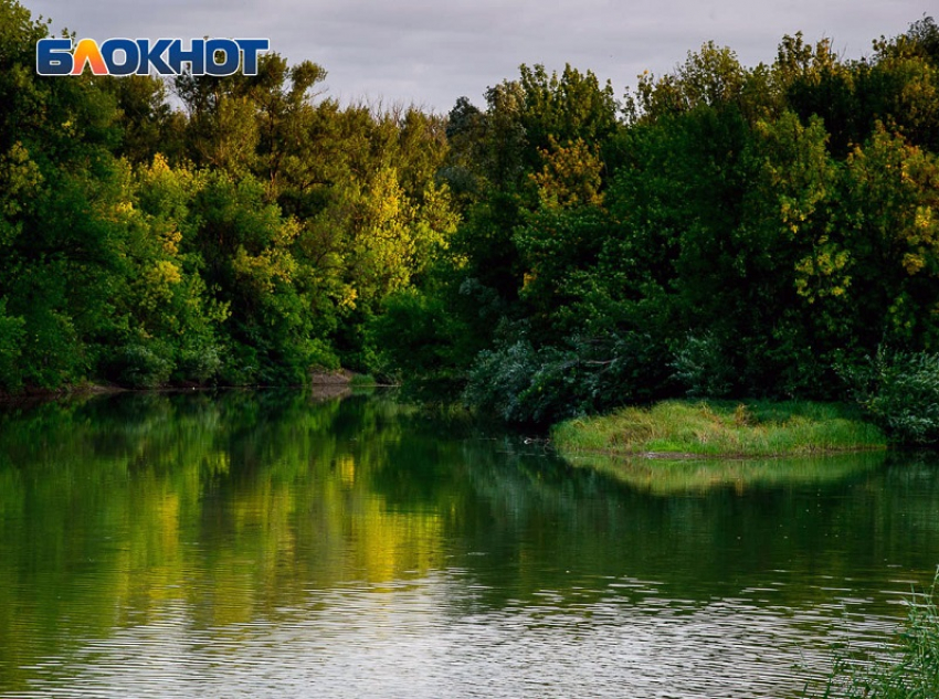 Труп мужчины подняли со дна пруда в Воронежской области