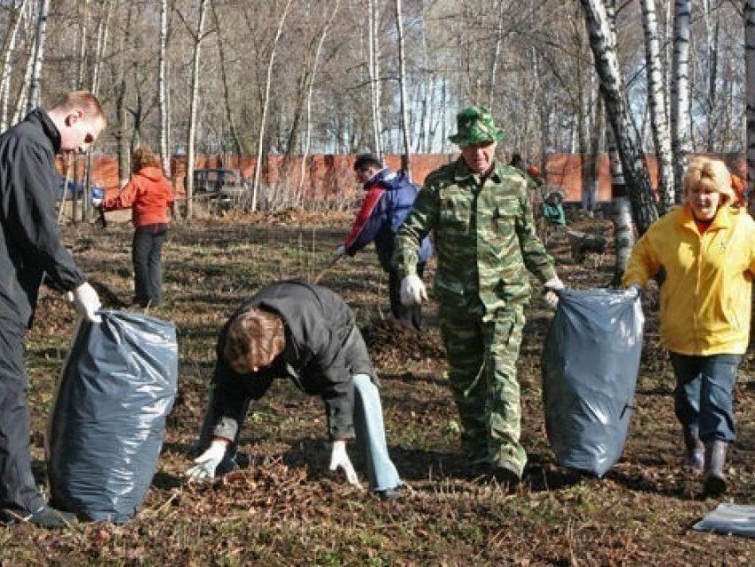 40 тысяч воронежцев примут участие в общегородском субботнике 8 апреля