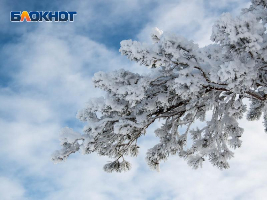 Непрерывный снегопад ожидается в начале рабочей недели в Воронеже