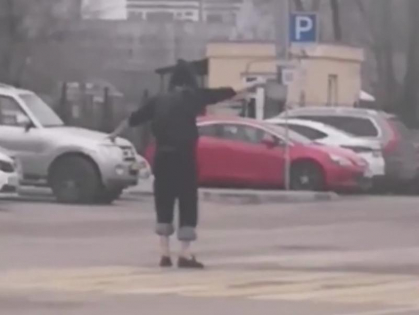 Беззаботный танец на зебре в центре Воронежа попал на видео