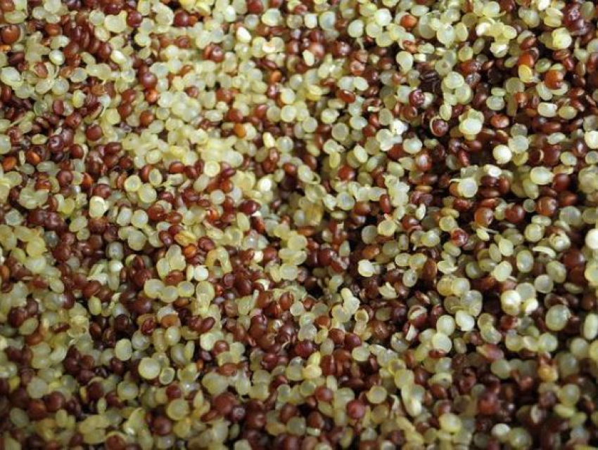 Воронежских школьников кормили опасной крупой