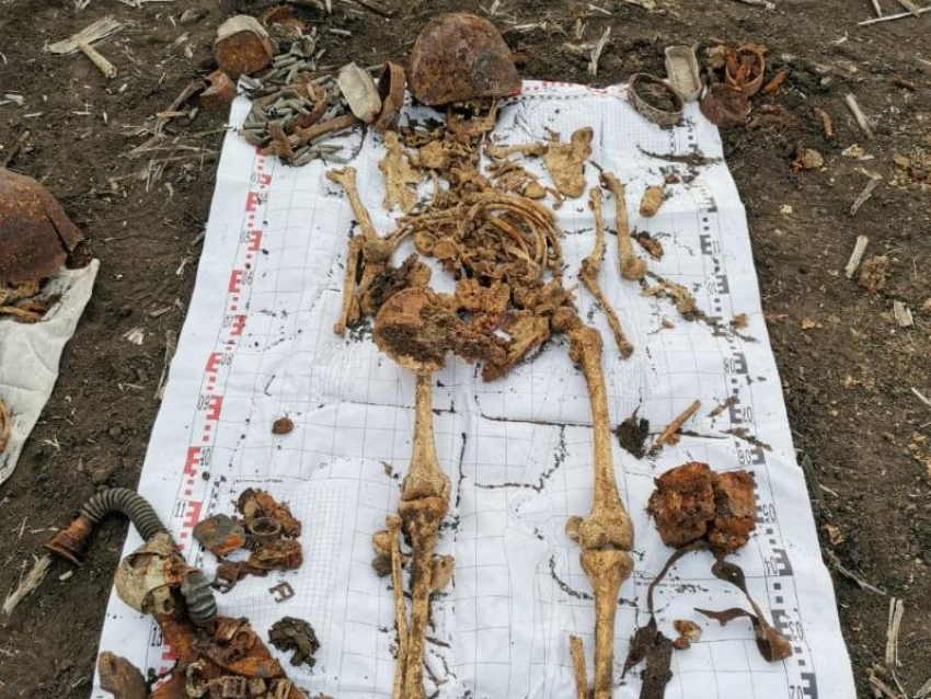 Опубликованы фото раскопок в Воронежской области, где нашли останки троих солдат