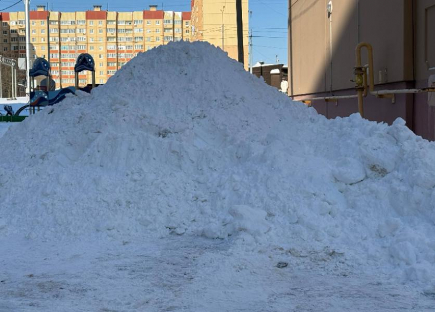 Улицы в центре Воронежа перекроют для вывоза снега
