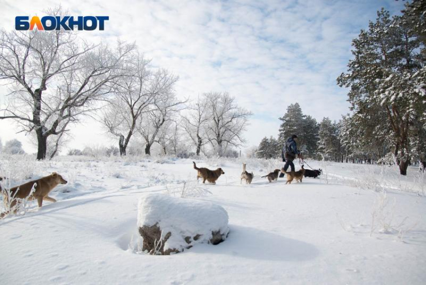 Влияние атмосферного фронта с юго-запада принесет в Воронеж снег и морозы 