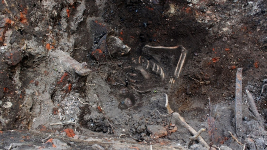 Мэрию предупреждали! Накануне 9 Мая останки бойца ВОВ случайно выкопаны на стройплощадке Воронежа