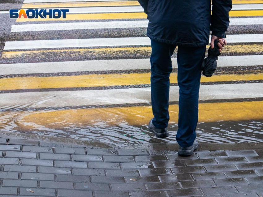 С тумана и дождей начнется новая рабочая неделя в Воронежской области