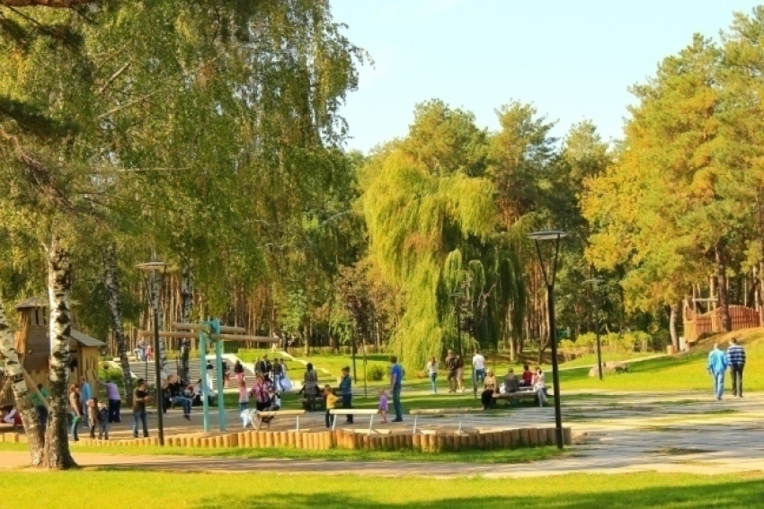 В воронежском парке «Алые паруса» пройдет фестиваль самобытной культуры «Папоротник»