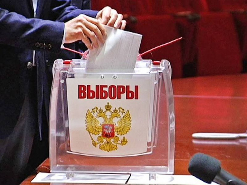 На выборах в Воронежской области распределят 110 мандатов