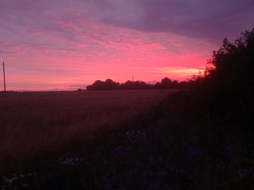 Закат после ливня: воронежцам подарили вечер в розовых тонах