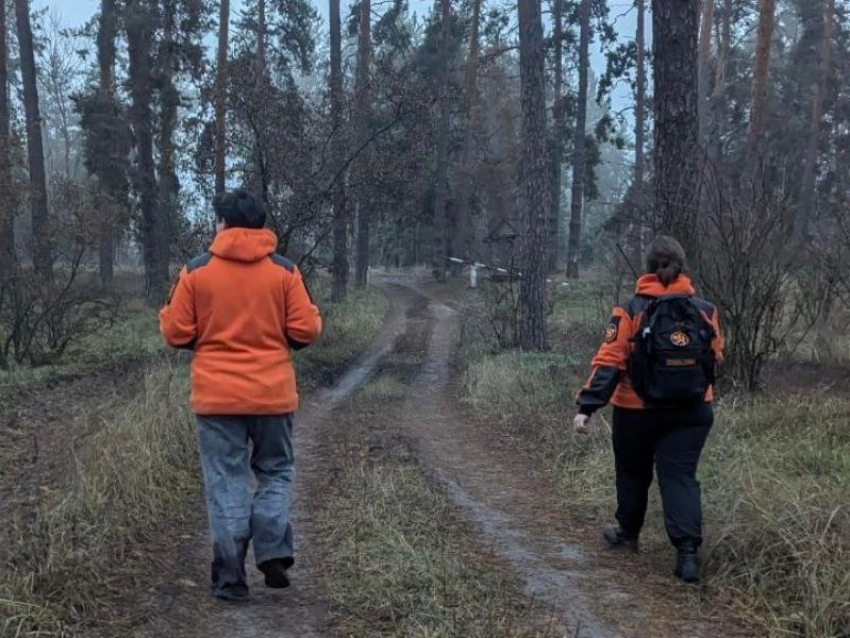 Бабушка всю ночь блуждала по лесу: воронежские волонтеры нашли потерявшуюся женщину