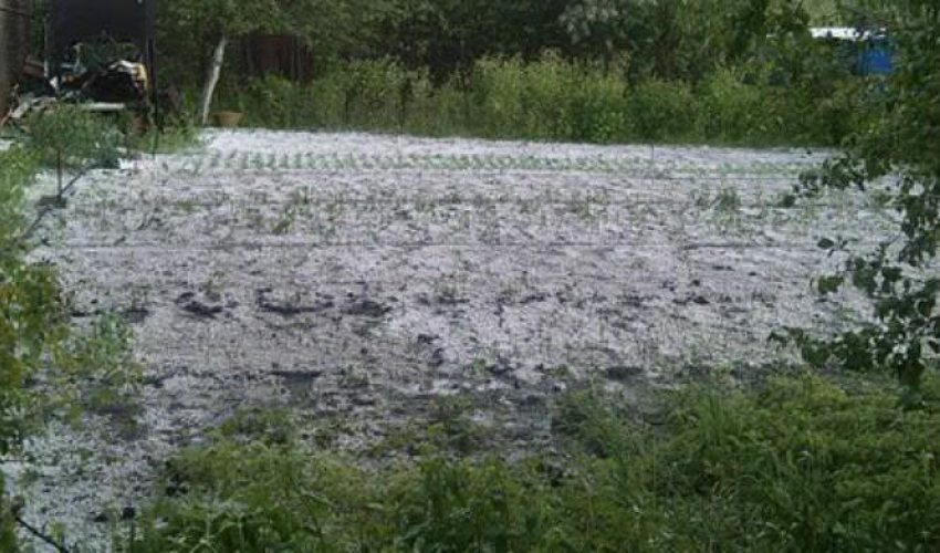 В Воронежской области из-за града водители накрывали машины одеялами, а фермеры спасали урожай