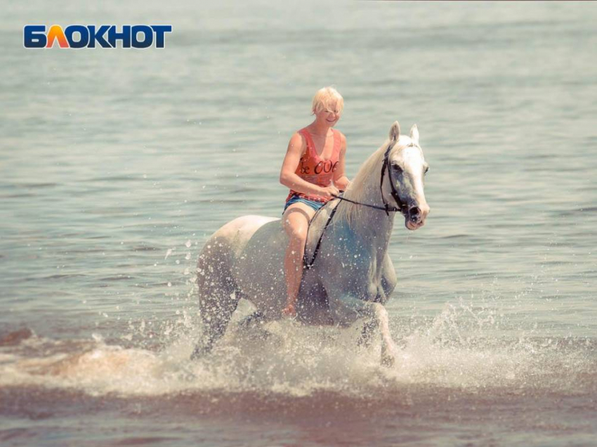 Непригодные для купания пляжи назвали санврачи в Воронежской области