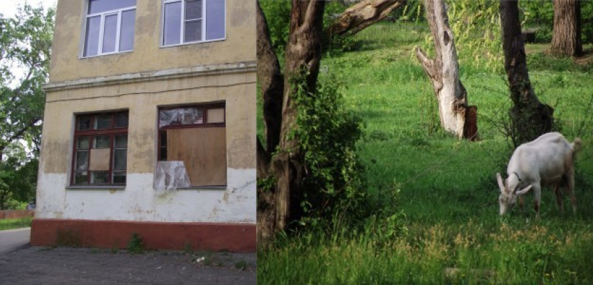 В Воронеже на территории скандально закрытой школы жарят шашлыки и пасут коз (ФОТО)