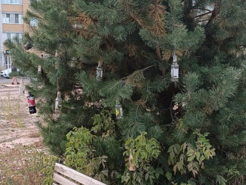 Экзотическую подготовку к Новому году заметили в Воронеже