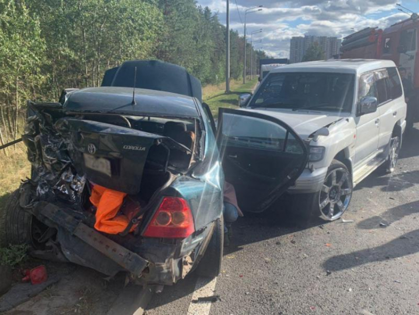 Двое детей пострадали в столкновении машин на обочине воронежской дороги 