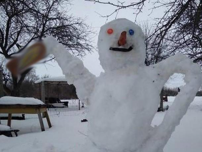 Под Воронежем нашли счастливого снеговика-алкоголика