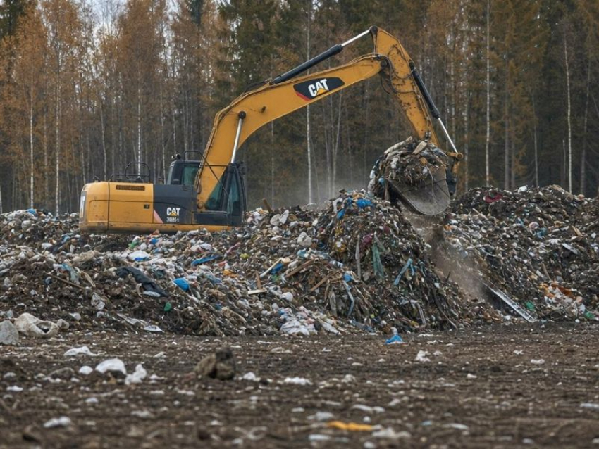 Ущерб на 3 млн рублей при ликвидации свалки выявили воронежские силовики