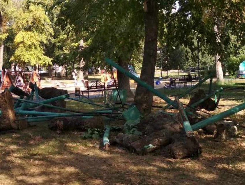 Грубо раскуроченную площадку сняли в центре Воронежа