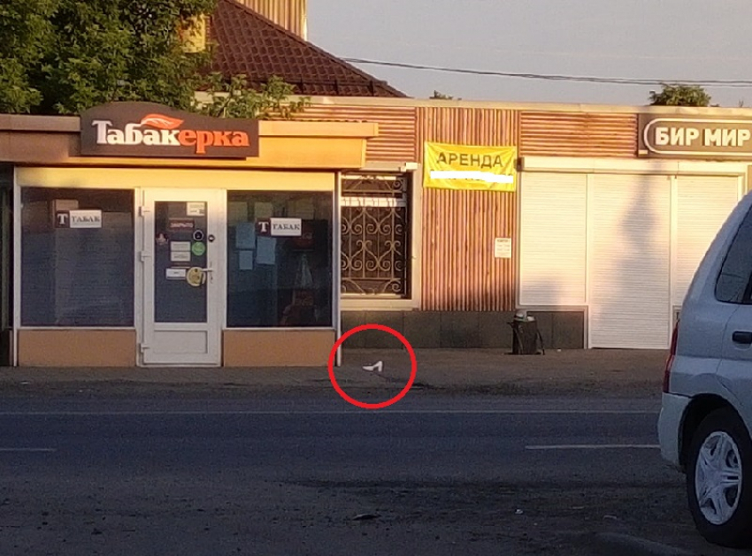 Неизвестная Золушка потеряла туфли между пивным магазином и «Табакеркой» в Воронеже