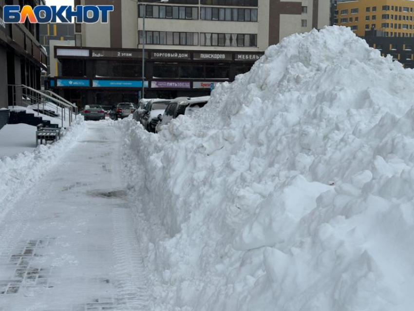 Экстренное обращение сделали власти Воронежа на фоне аномального снегопада 