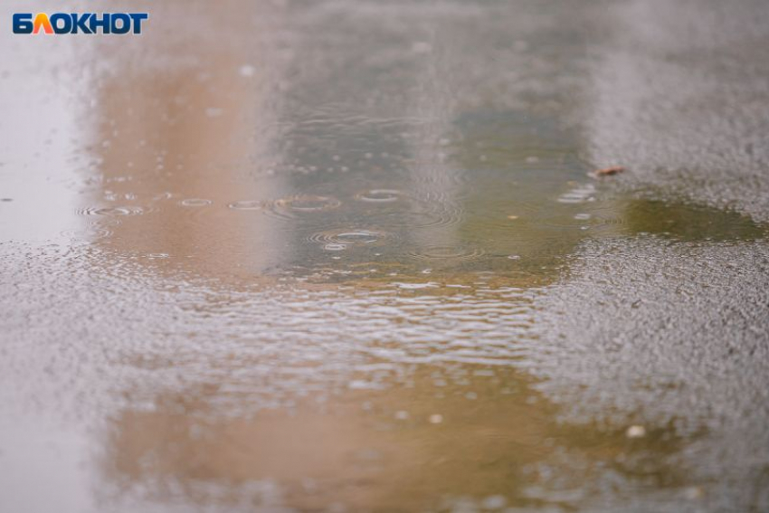 Весеннюю слякоть принесет погода в начале марта в Воронеже