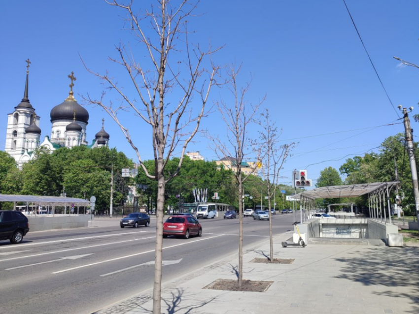 Почему Воронеж превращается в «поле чудес", но без Якубовича