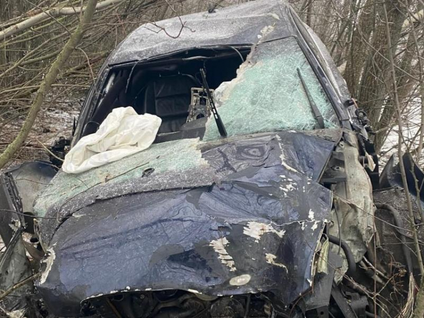 Водитель врезался в деревья в Воронежской области