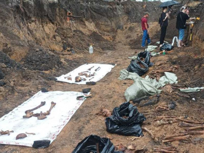 Человеческие останки нашли в Воронеже