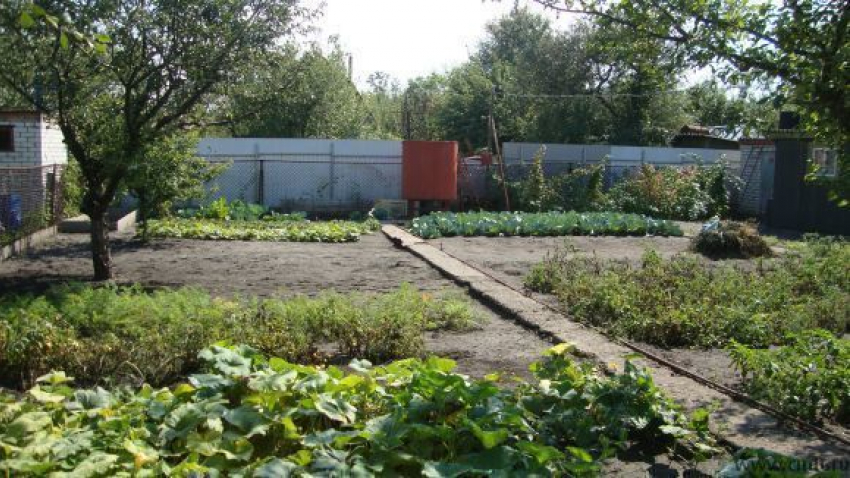 Власти Воронежа сообщили о продлении конечной остановки на Дальних садах на летний сезон