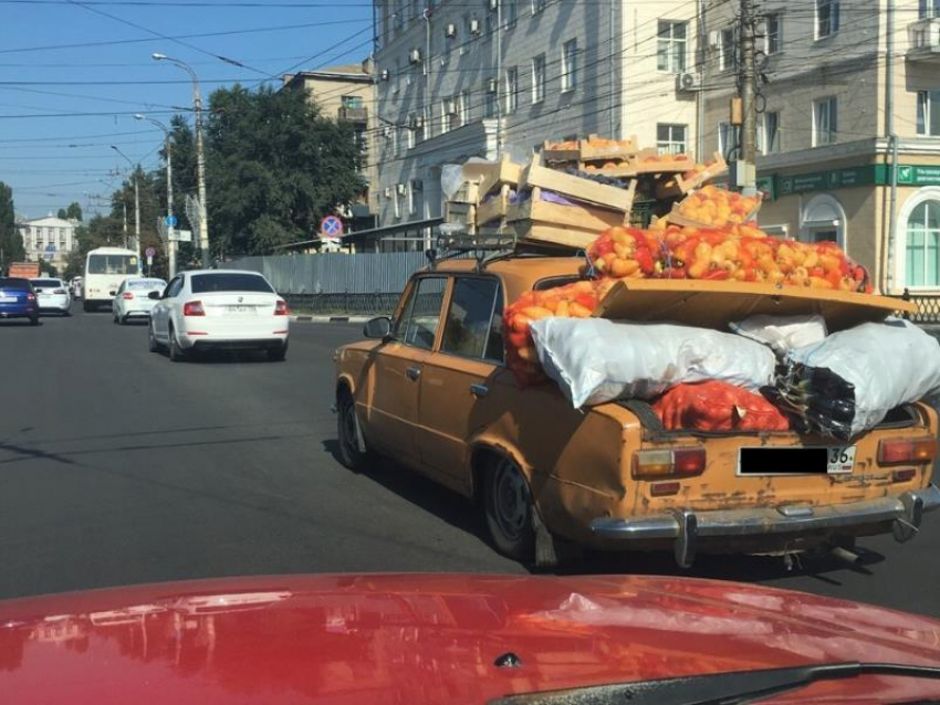 Воронежец едой испытал старенькую «копейку» на дороге