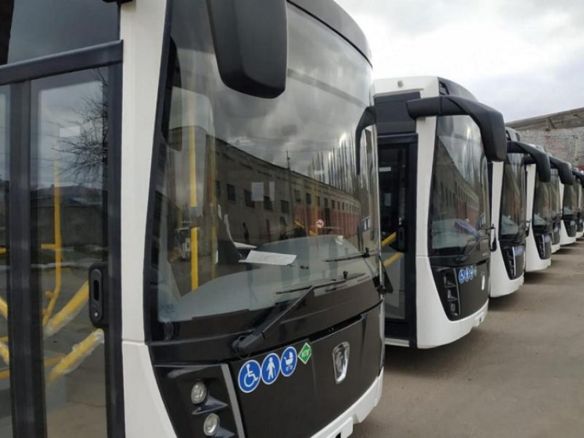 Воронежская область получит дополнительно 43 новых автобуса 