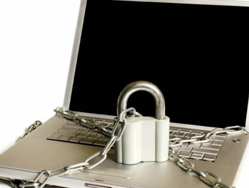 Воронежцы жестко высмеяли международный День без интернета