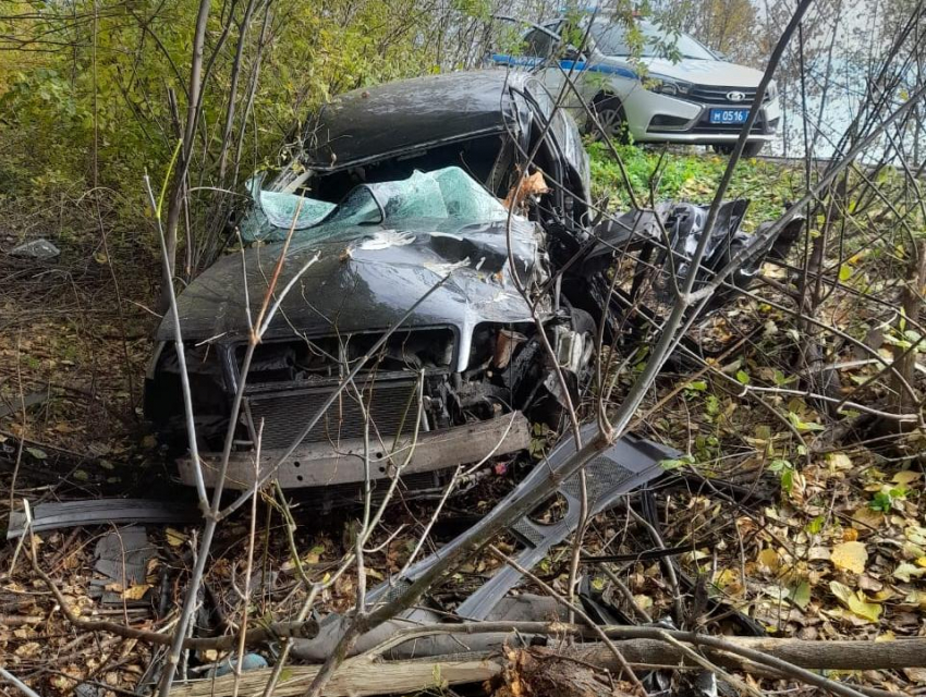 17-летний подросток на Audi A6 устроил ДТП с пострадавшими в Воронежской области
