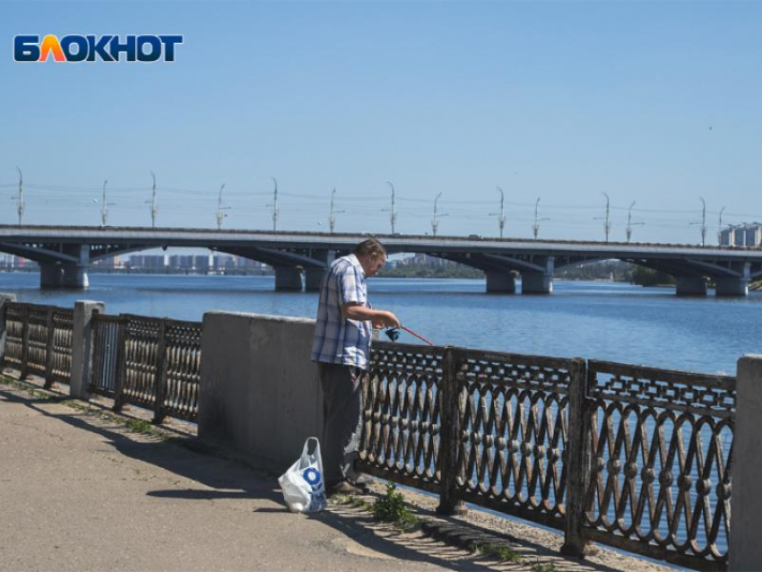 На Петровской набережной в Воронеже может появиться колесо обозрения 