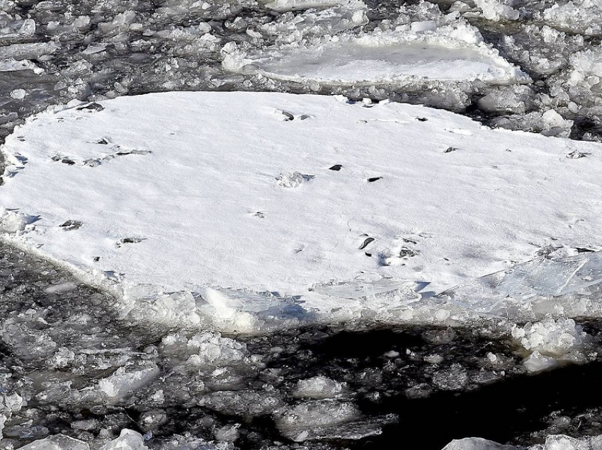 Пьяный рыбак стал заложником льдины на Воронежском водохранилище 