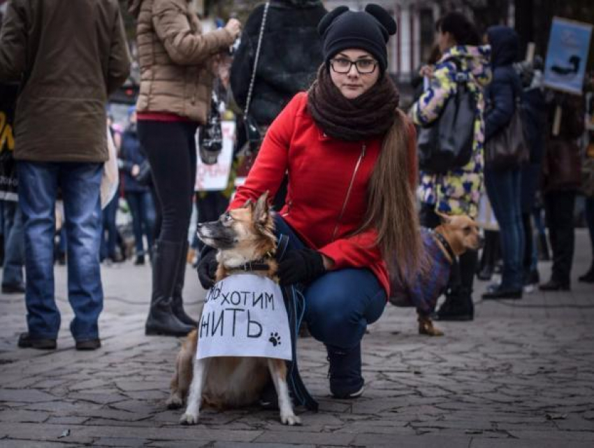 Сотни воронежцев пришли к памятнику Белому Биму с фотографиями убитых питомцев 