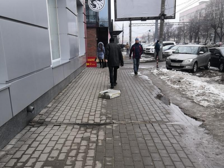 Выгуливающего обогреватель мужчину заметили в Воронеже