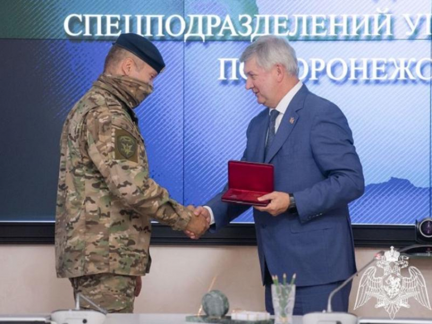 Александр Гусев вручил госнаграды воронежским росгвардейцам и омоновцам – участникам СВО