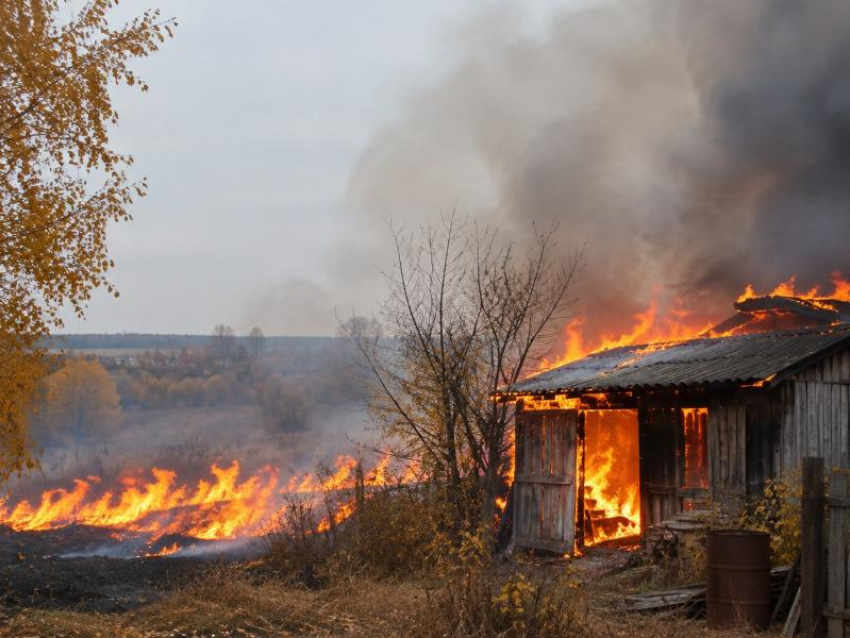 Четвертый класс пожарной опасности установился на территории Воронежской области