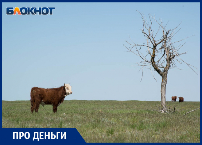 Более чем в 2 раза сократилась чистая прибыль молочного комбината «Воронежский»