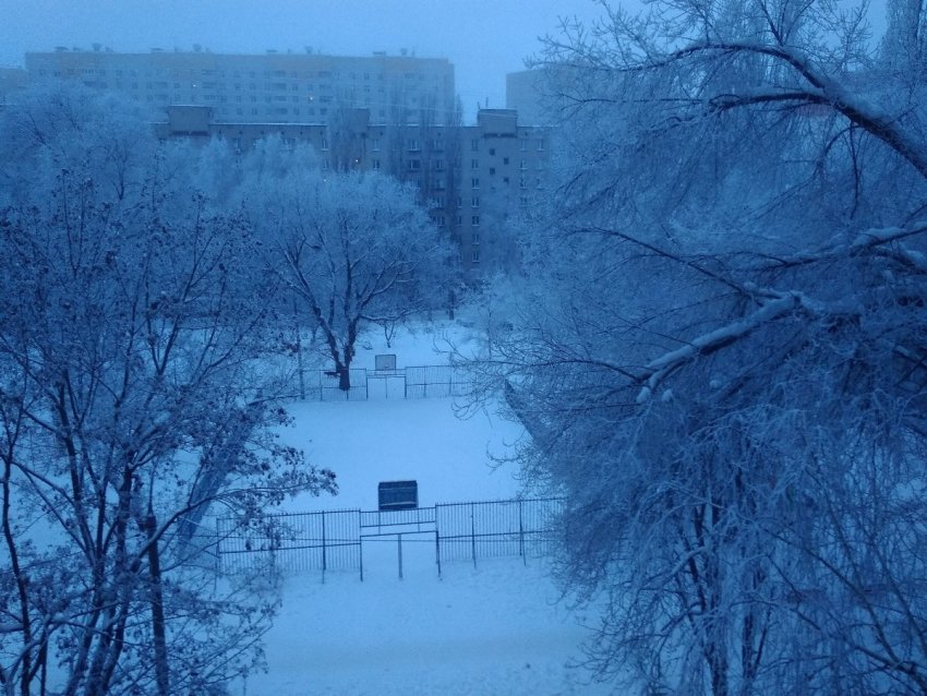 Воронежцы сравнили со сказкой утро в снегу и инее