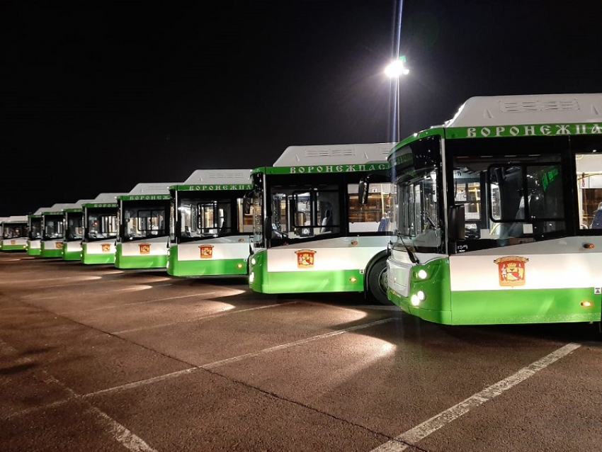 Опубликовано видео колонны 33 новых автобусов, въезжающей ночью в Воронеж 