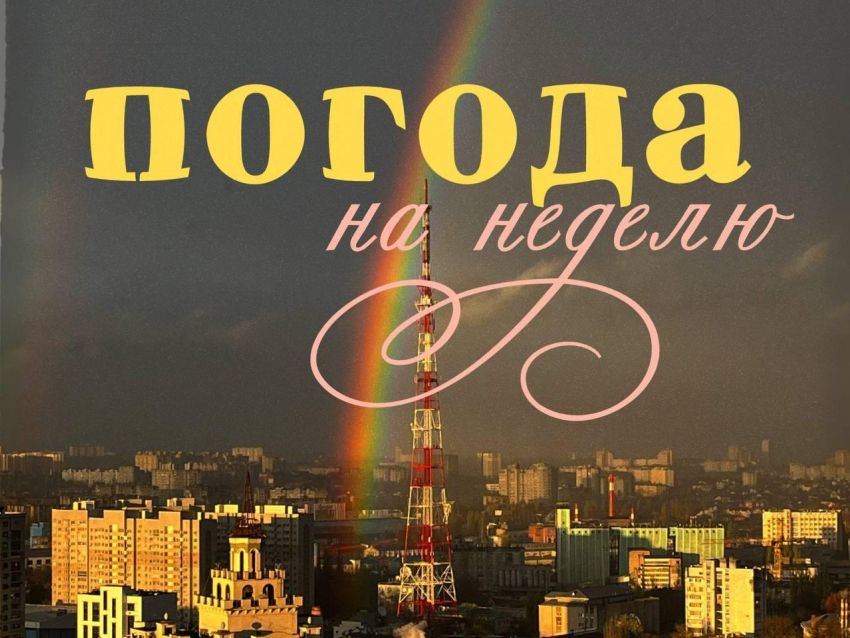 Ноябрь застрял между временами года: погода в Воронеже