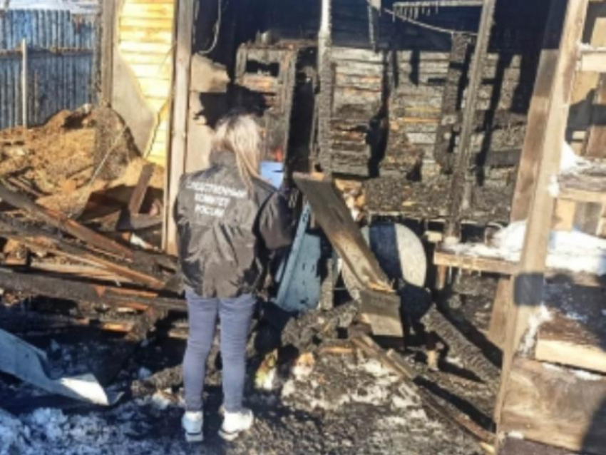 Обгоревшее тело ребенка нашли в доме под Воронежем 