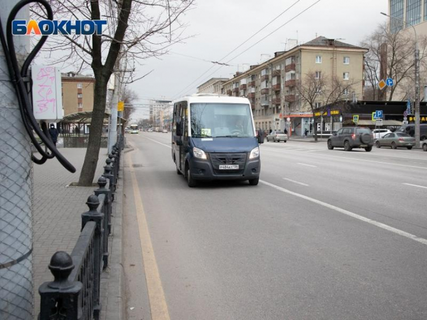 «Маршрутки для лилипутов»: что чиновники ответили на автобусные возмущения воронежца 