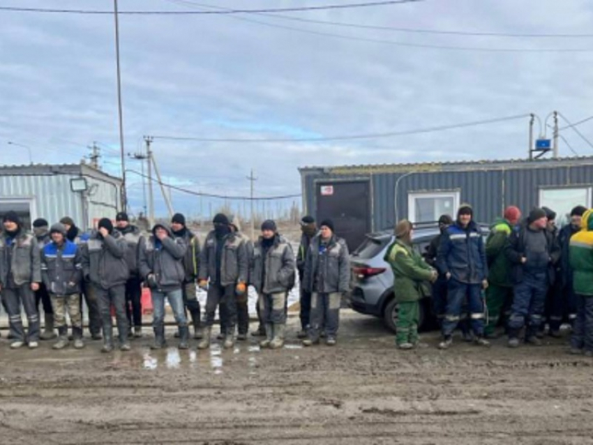 24 мигранта попали в полицейский участок после рейда силовиков на стройку в Воронежской области 