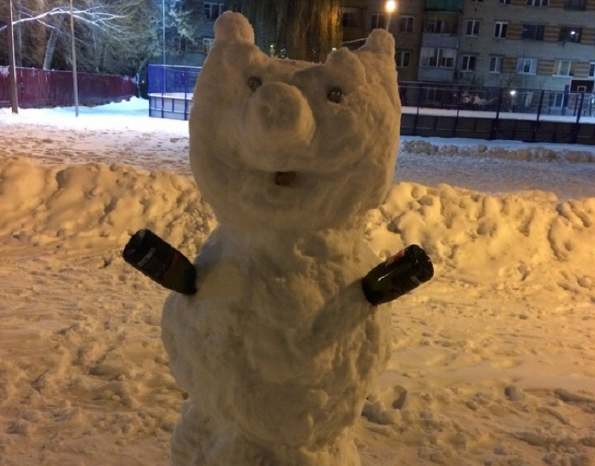 Снежная свинья с руками-бутылками появилась в Воронеже 