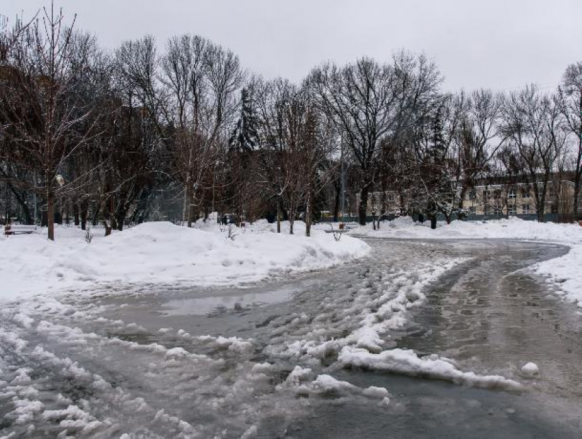 Март признали самым влажным за всю историю метеонаблюдений в Воронеже 